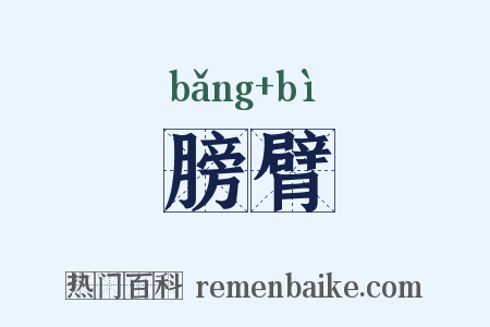 膀臂是什么意思的图片